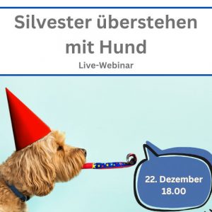 Ankündigung Webinar Silvester mit Hund überstehen