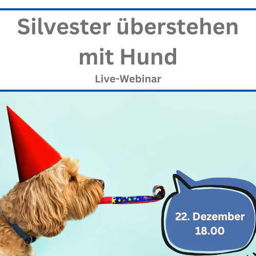 Ankündigung Webinar Silvester mit Hund überstehen