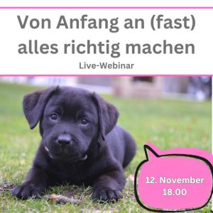 Von Anfang an (fast) alles richtig machen [Digital]